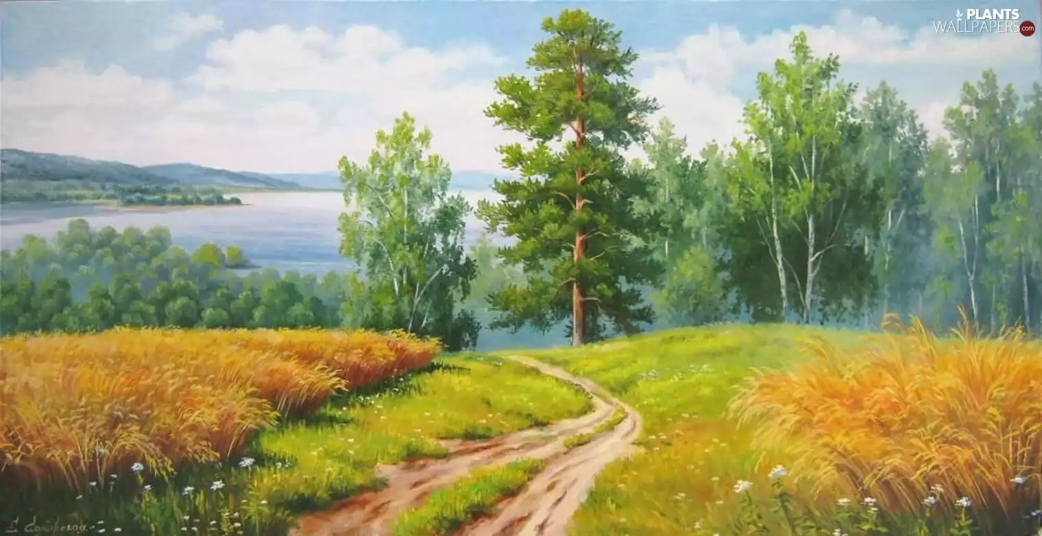 corn, Field, viewes, lake, trees, Way