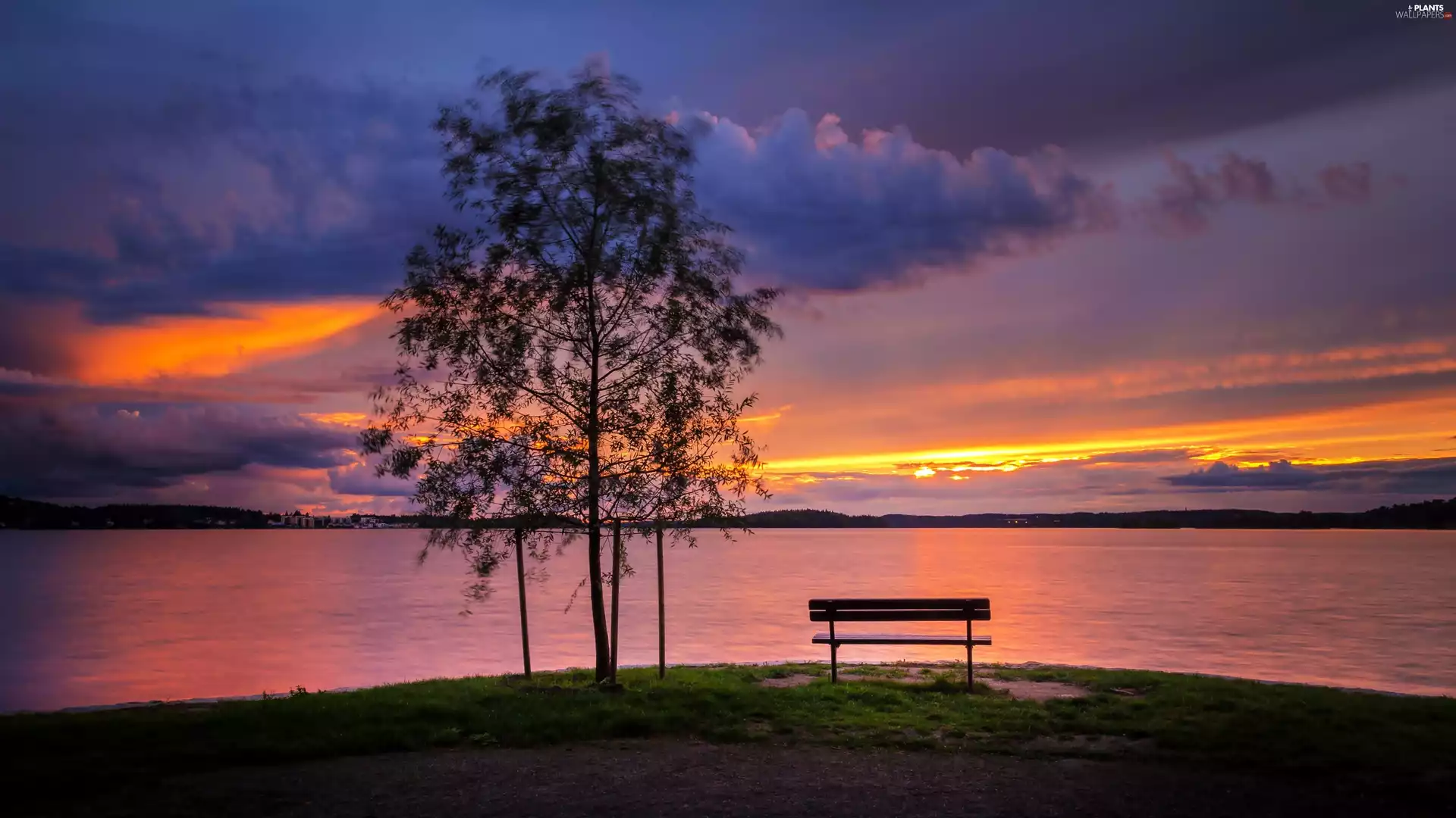 horizon, Bench, west, lake, trees, Beatyfull, sun