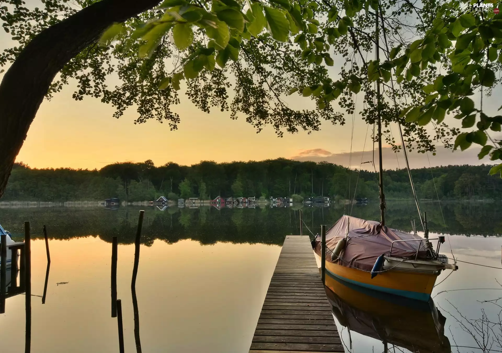 Yacht, Platform, trees, lake