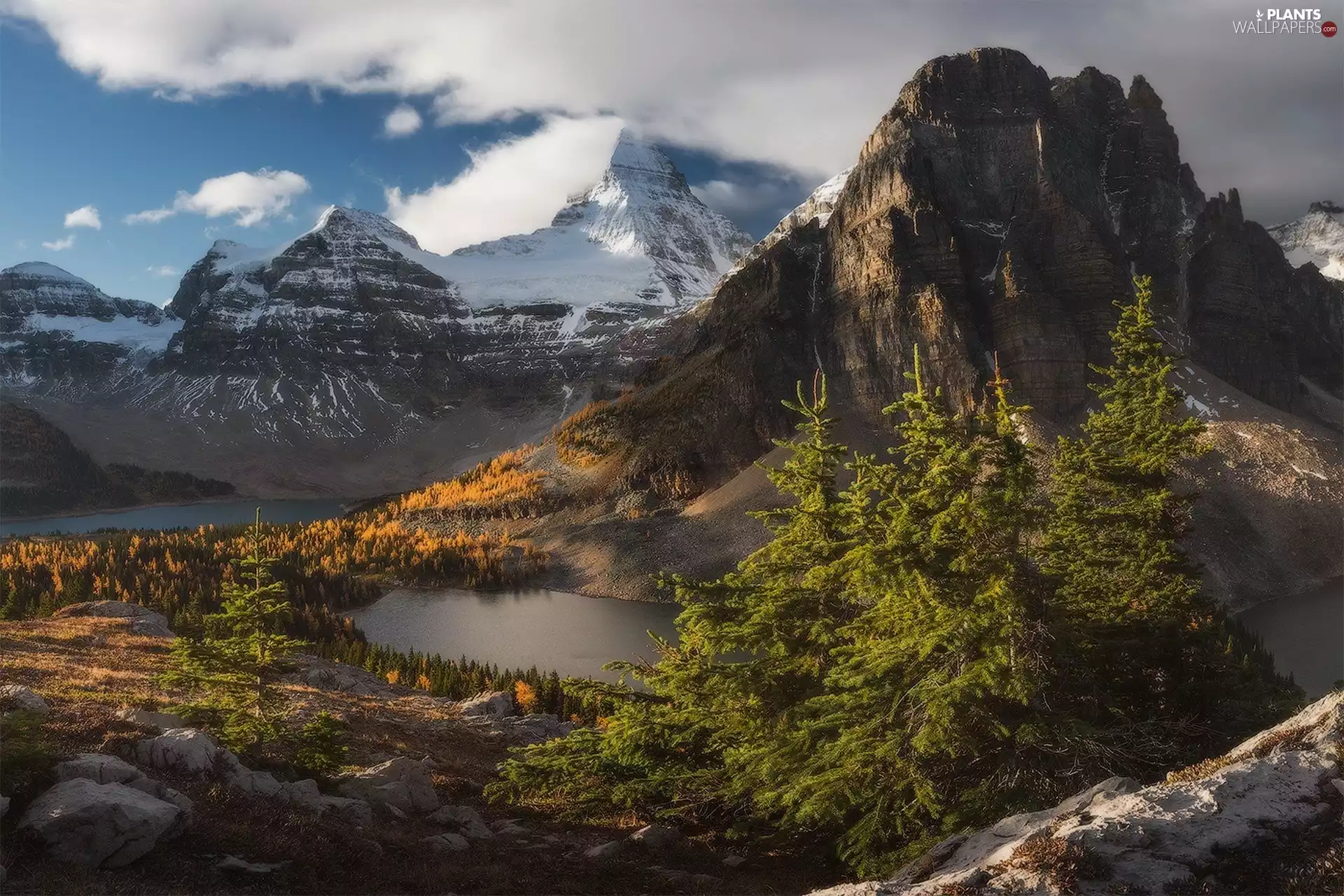 Mountains, trees, viewes, lakes