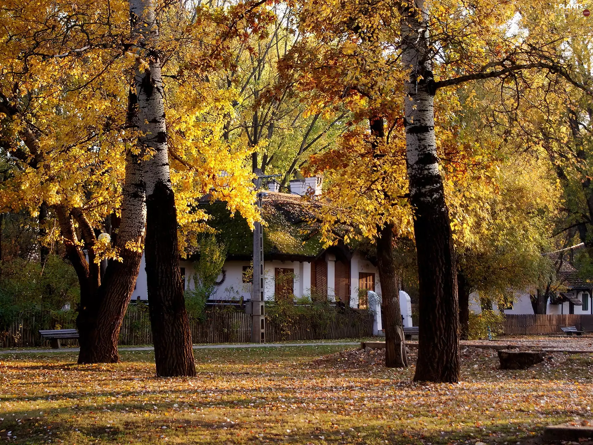 Park, bench, autumn, lane