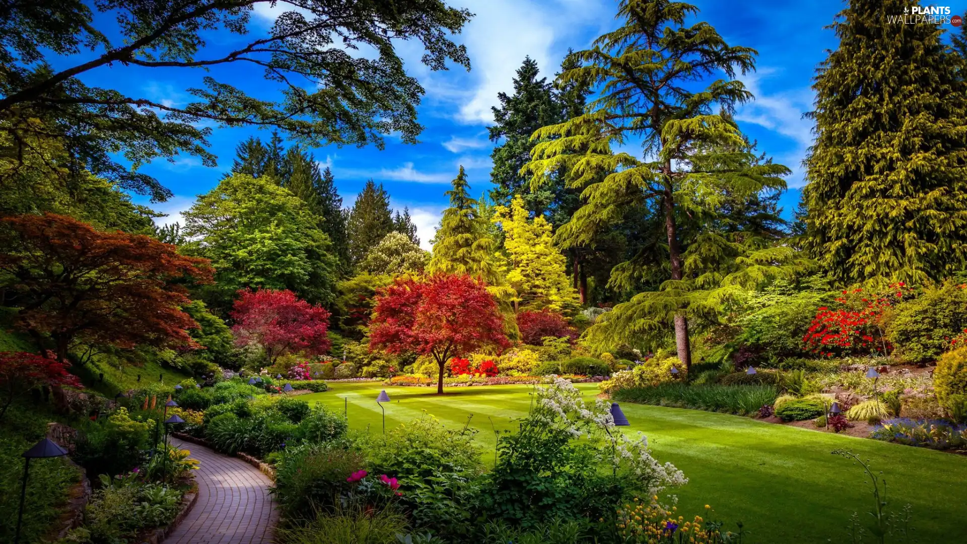 Flowers, lane, trees, viewes, Park