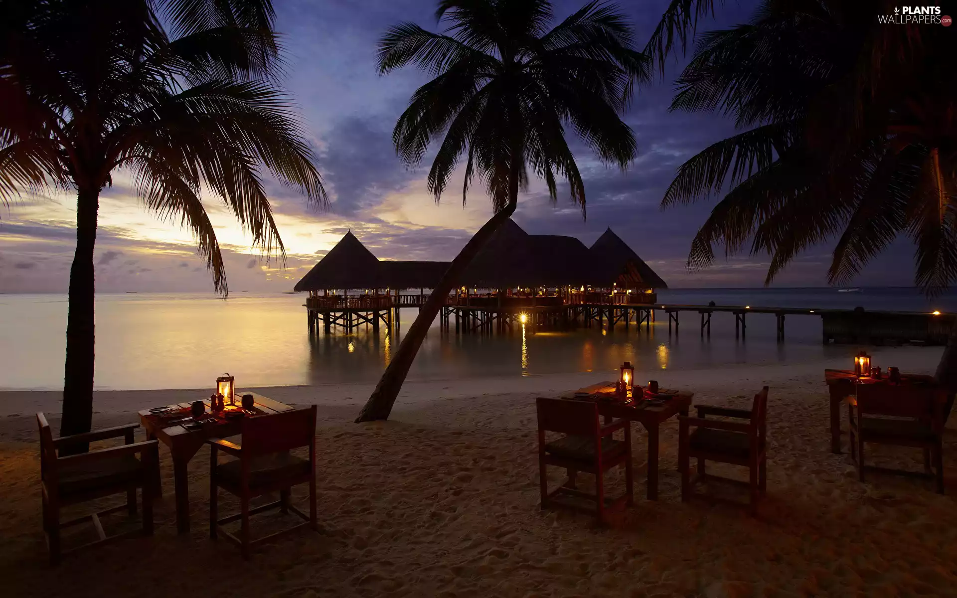 evening, Lankanfushi Island, Houses, tables, sea, Maldives, Gili Lankanfushi Maldives Hotel, holiday, Beaches, Palms