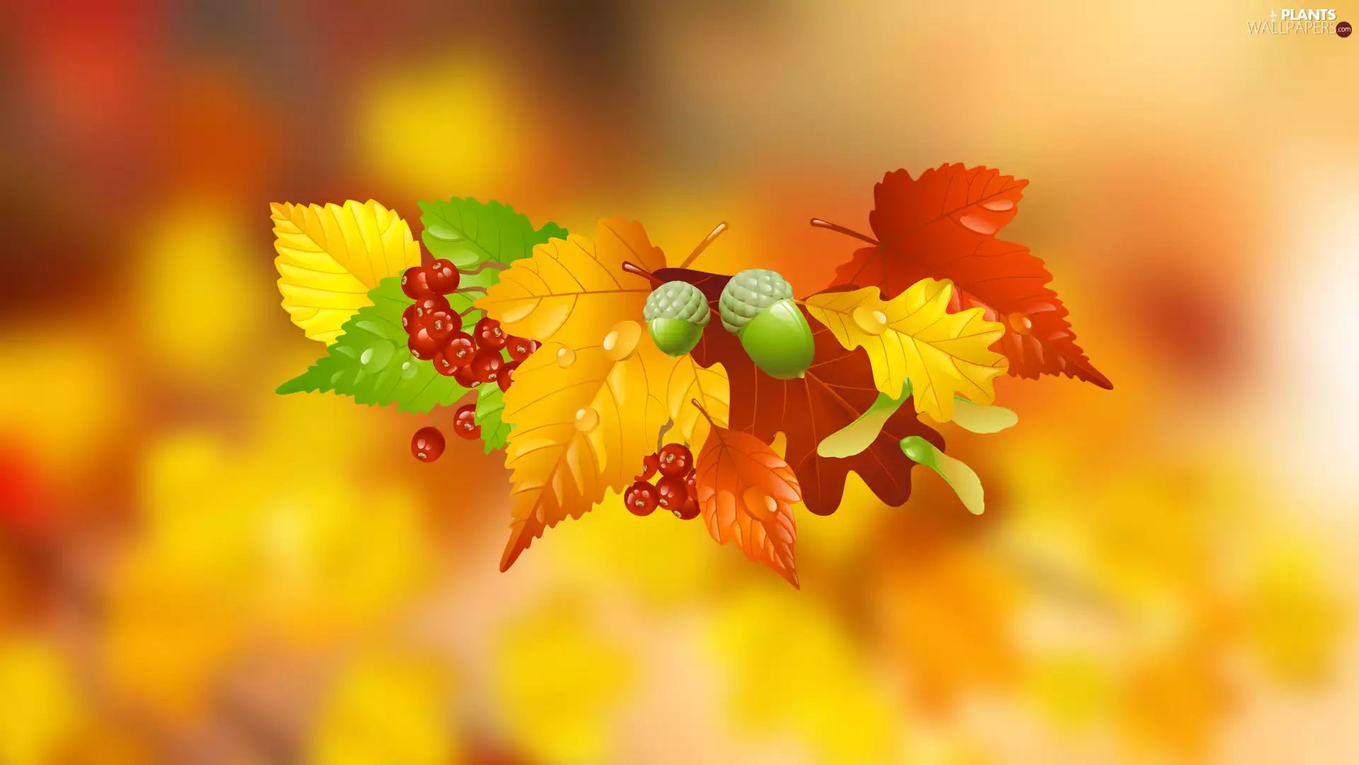 Acorns, 2D Graphics, Leaf