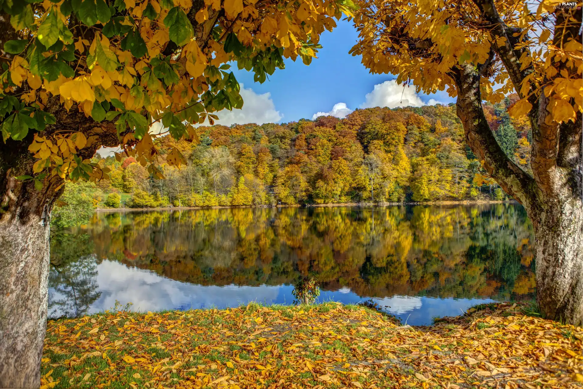 Leaf, autumn, Mountains, woods, lake