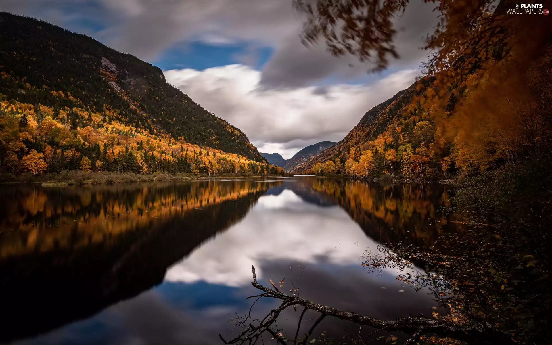 viewes, Mountains, autumn, reflection, clouds, trees, lake, Leaf
