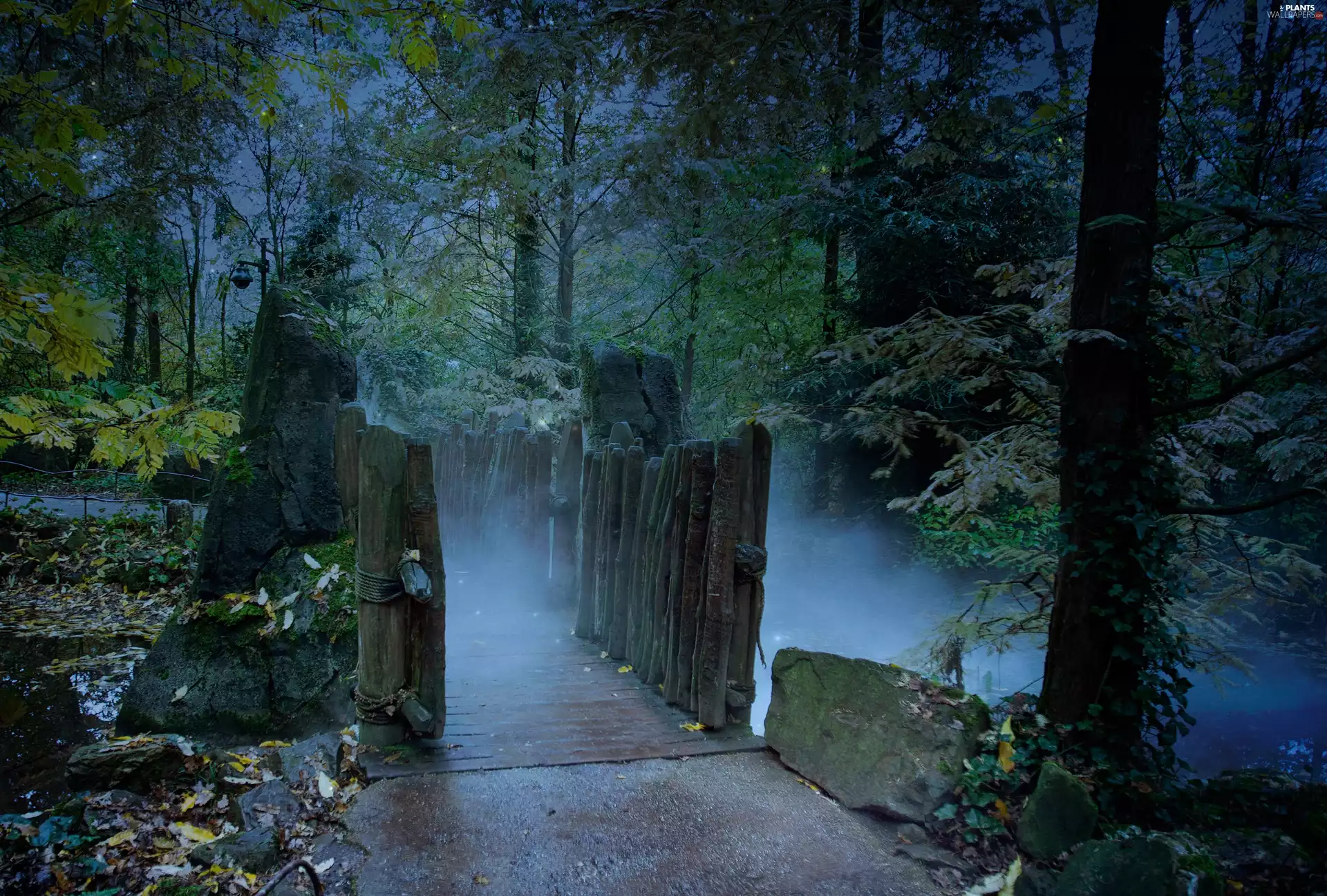 Fog, Land, viewes, Leaf, trees, bridges