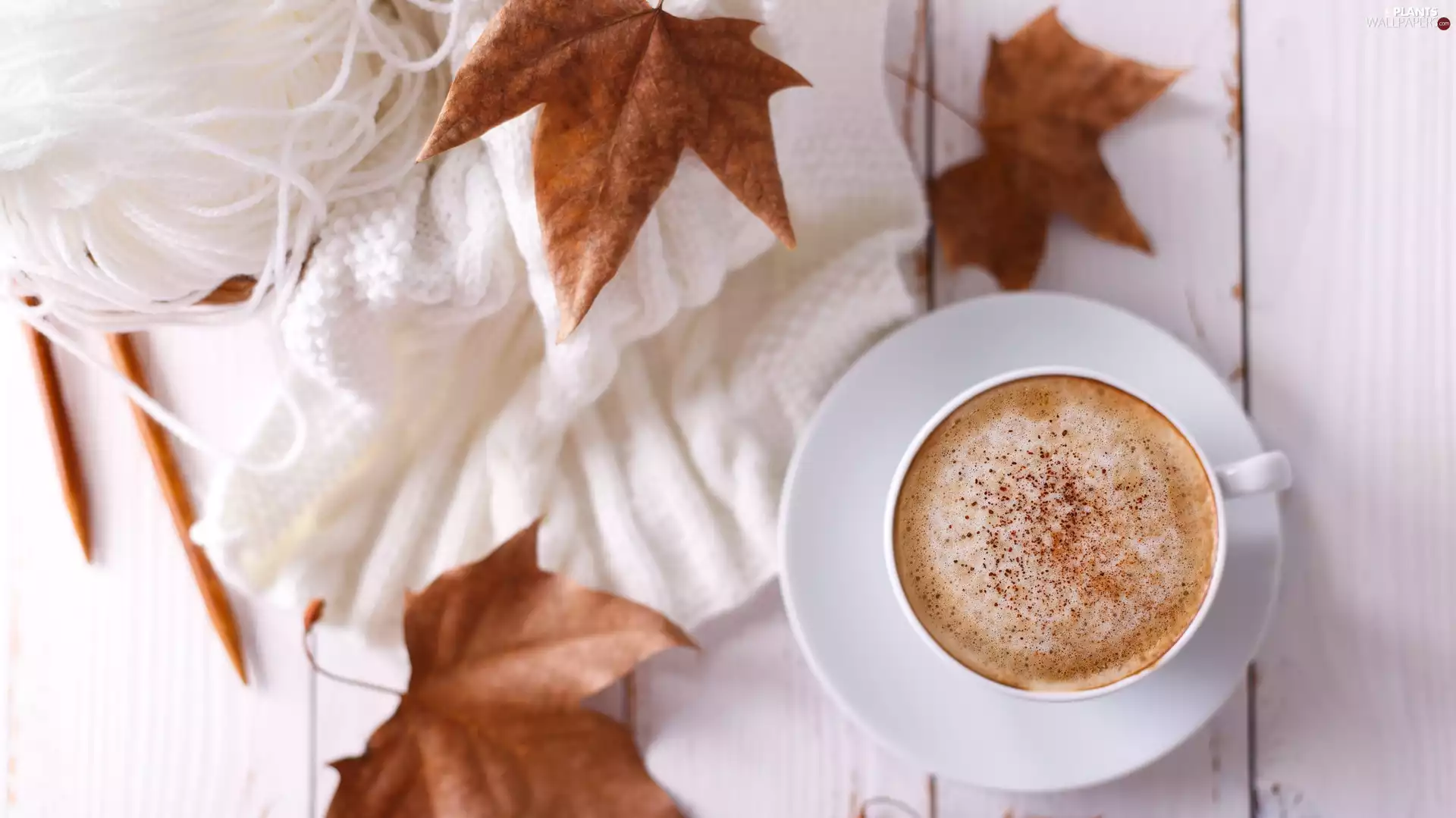 coffee, drag, boarding, Leaf