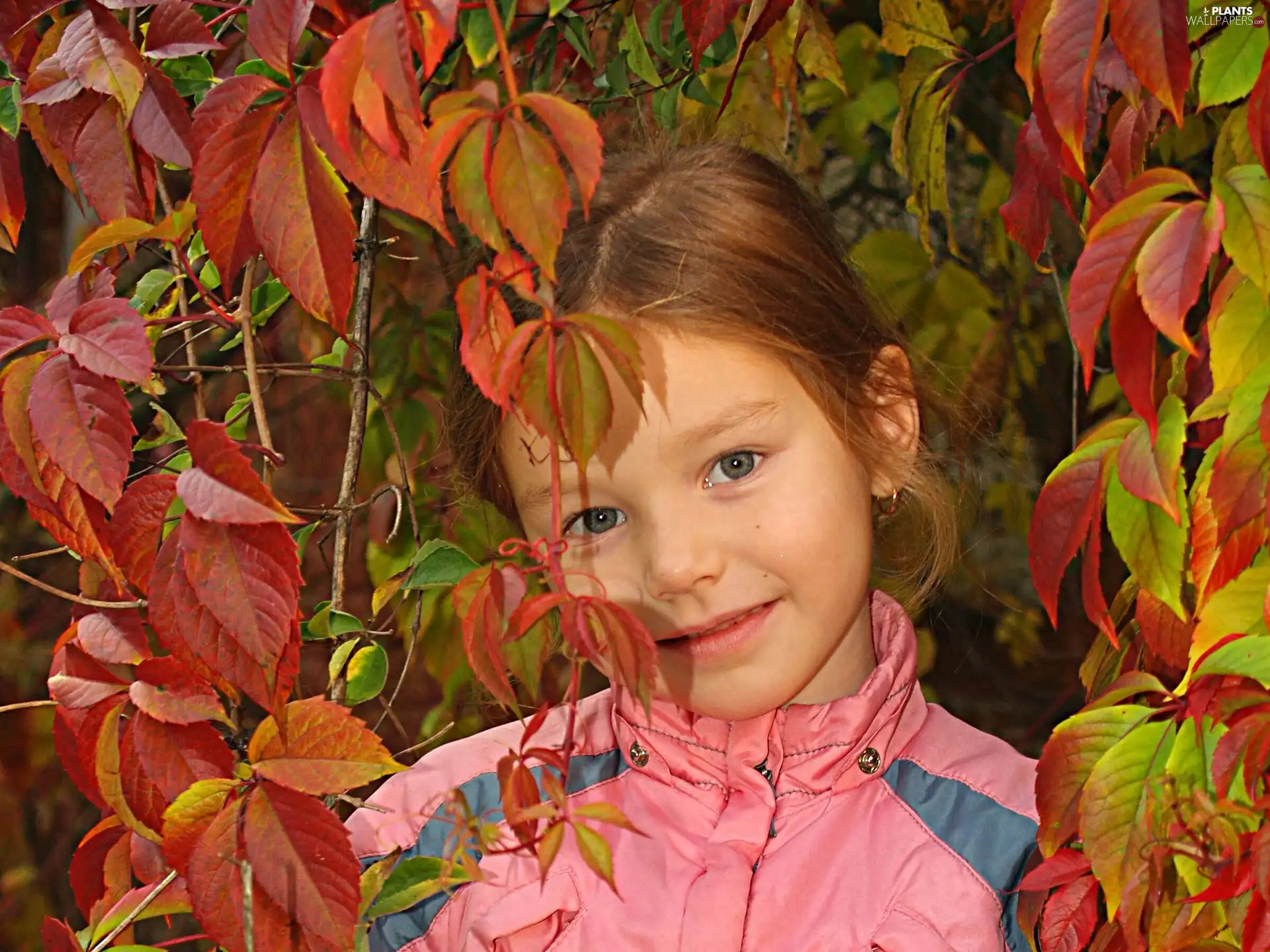 girl, autumn, Leaf, Smile