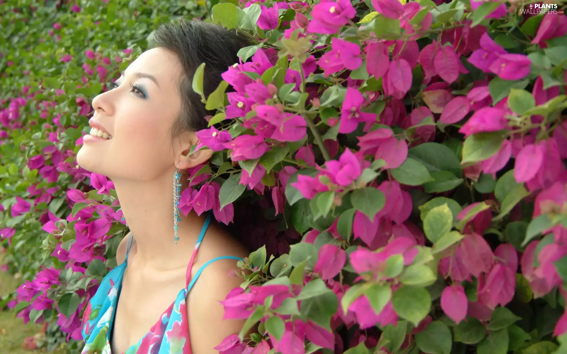Park, Romantic, color, Leaf, Bush, girl