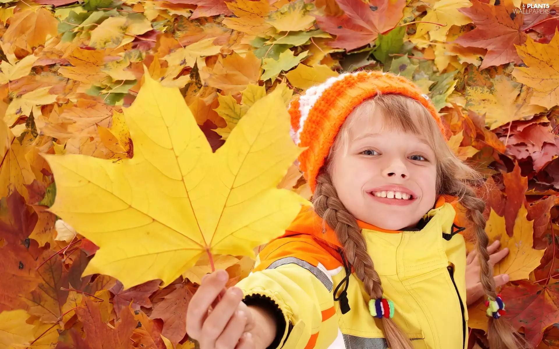 Autumn, Leaf, girl, pigtail, Kid
