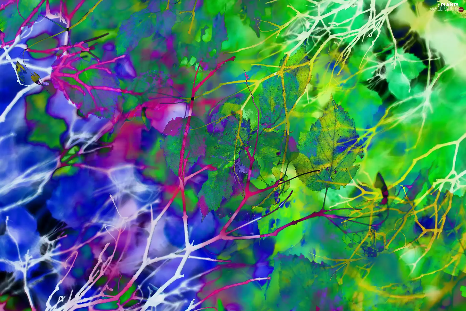 Leaf, Coloured, graphics