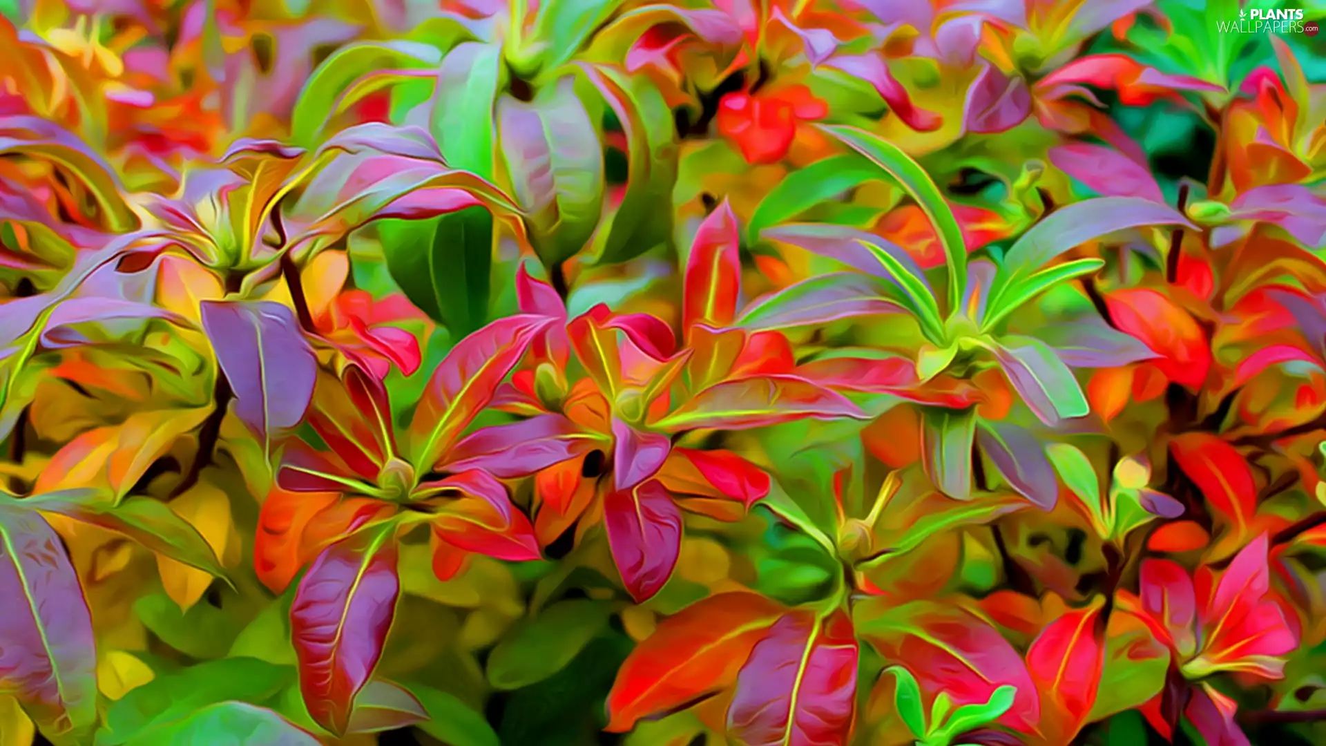 Red, Leaf, graphics, green ones