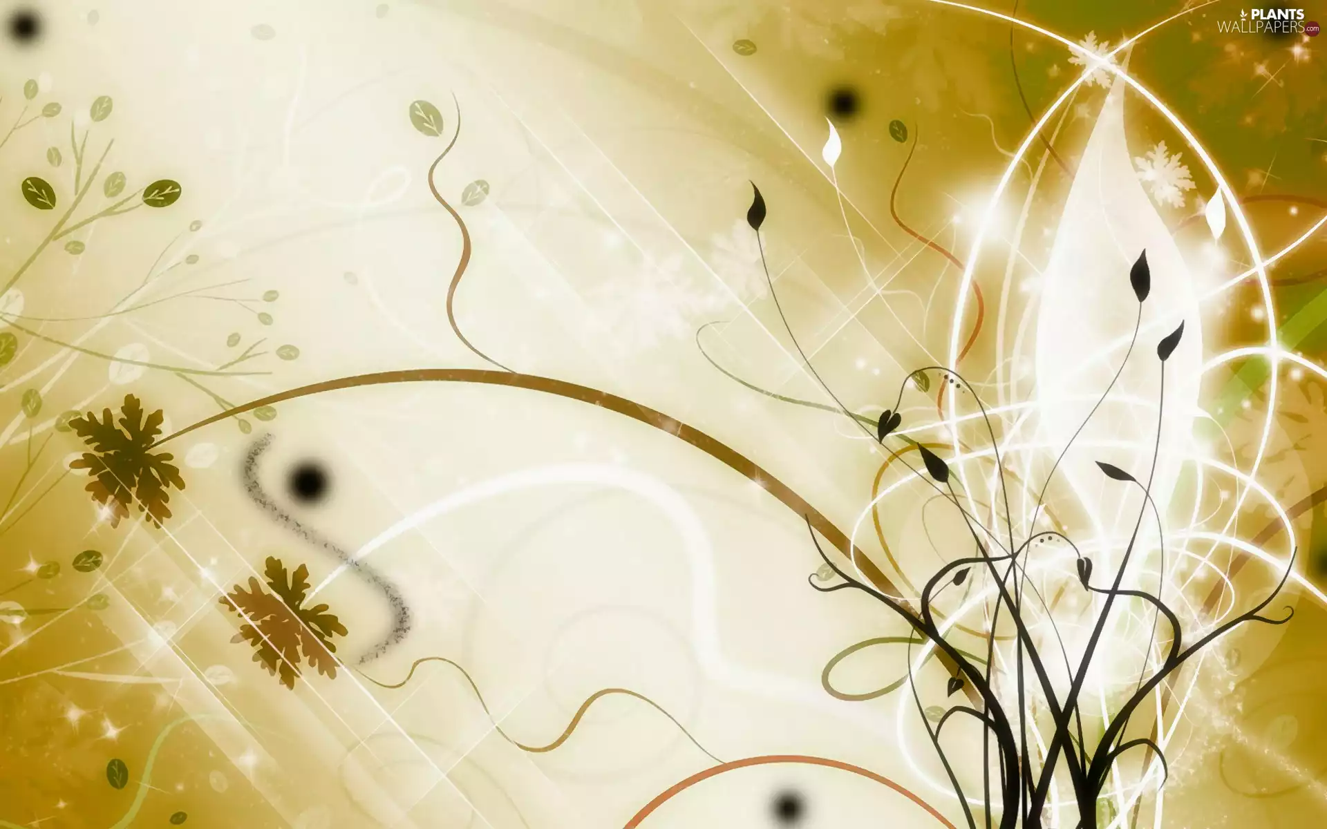 graphics, stems, stems, Leaf