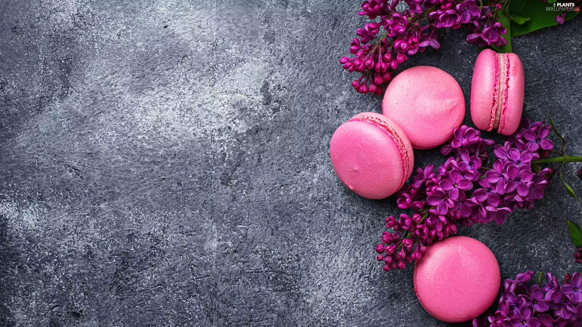 Cookies, without, Grey, Leaf, Flowers, Macaroons, background