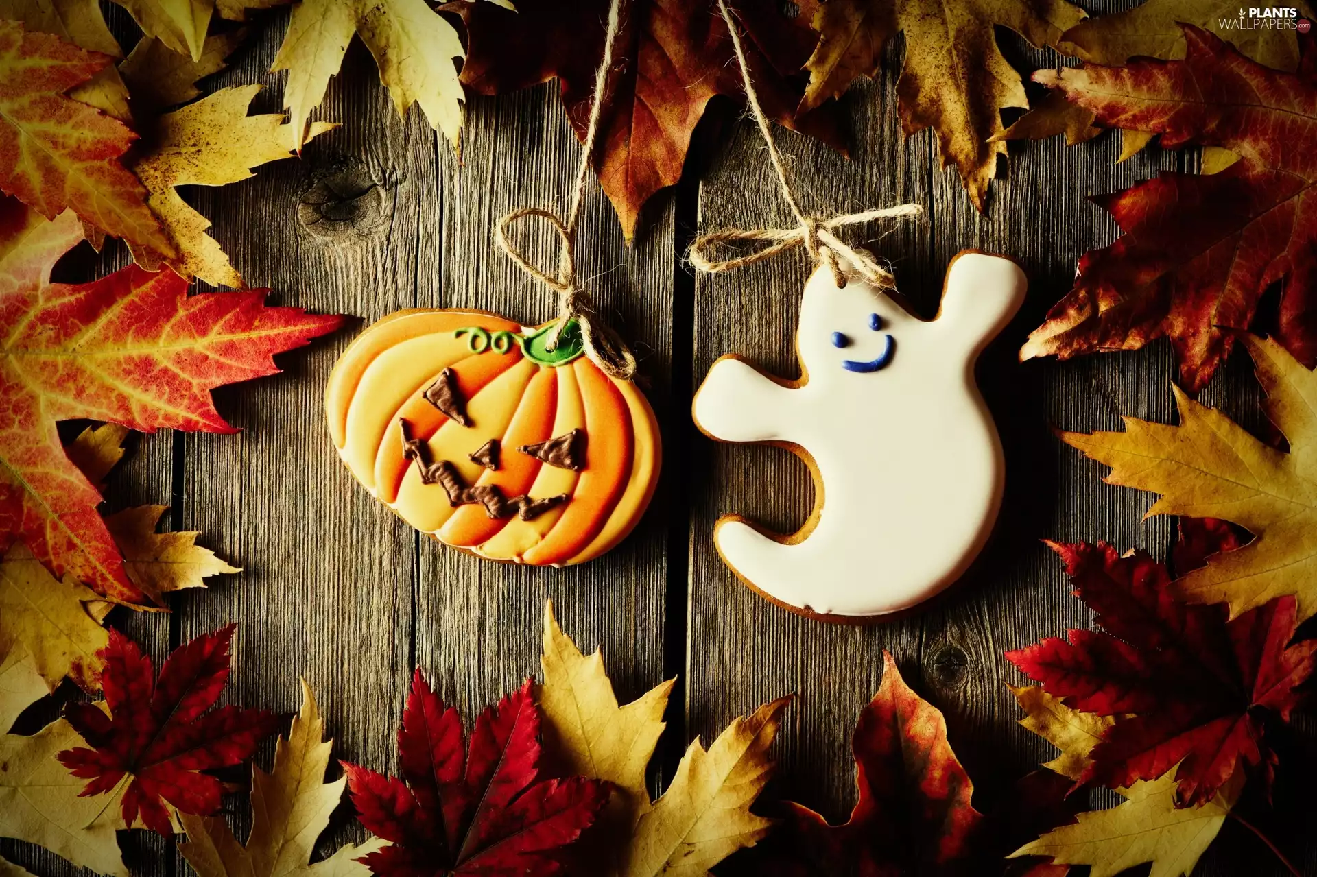 Leaf, autumn, halloween