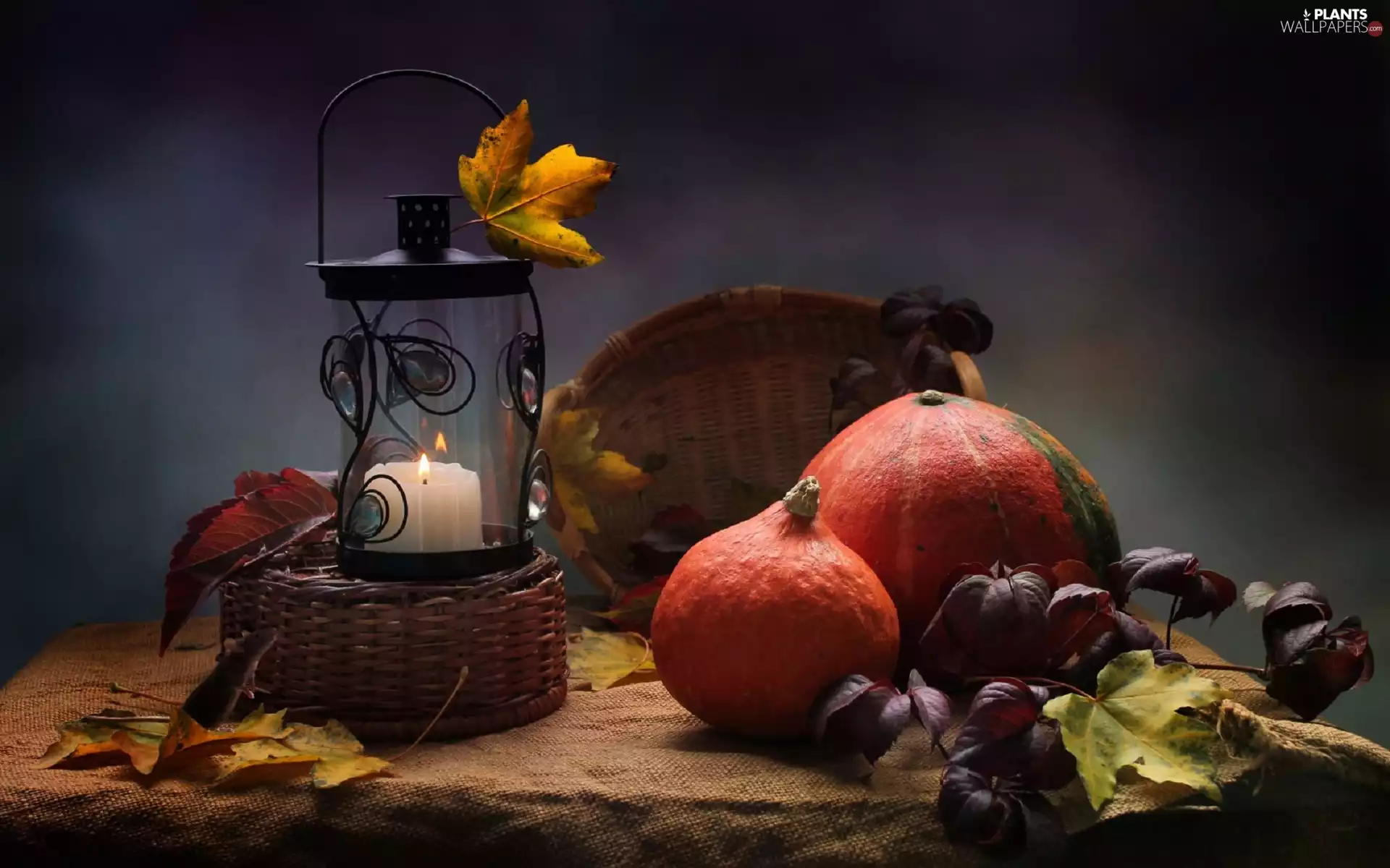 pumpkin, Leaf, lantern, Candle, composition