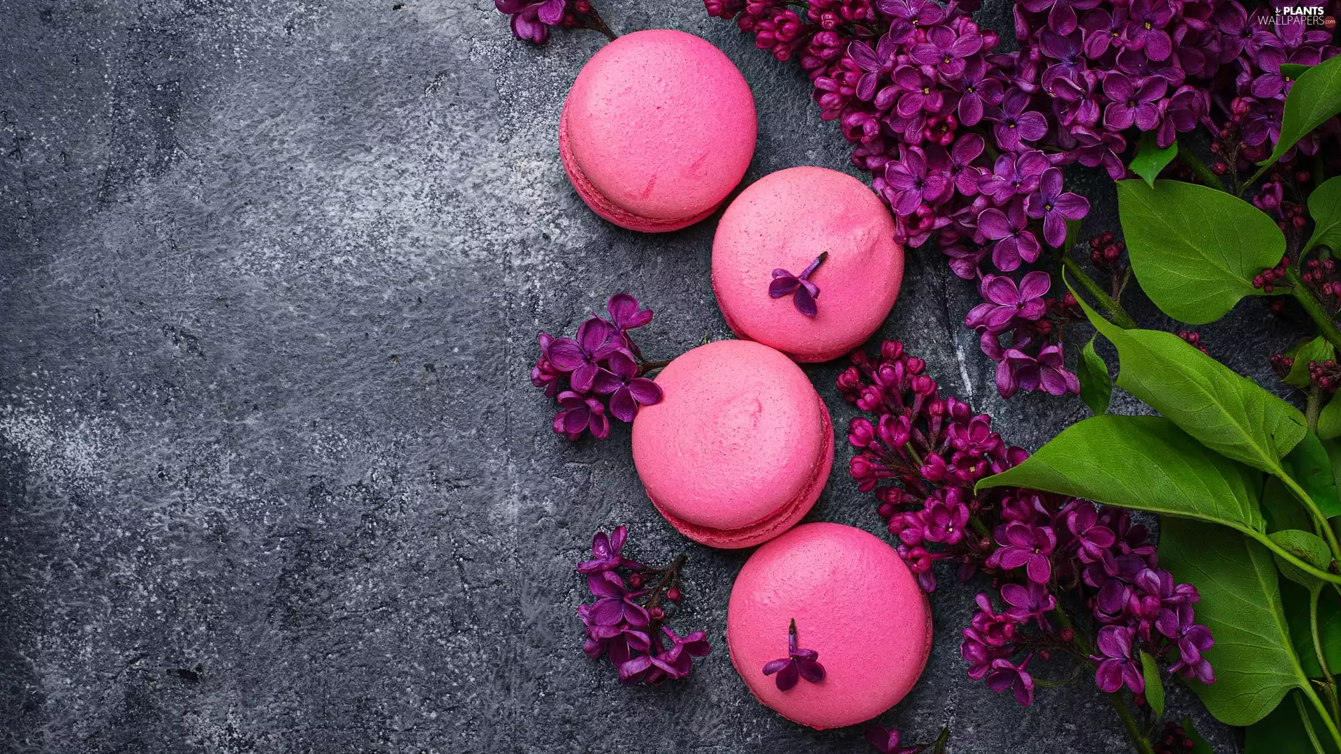 Violet, Cookies, without, Leaf, Syringa, Macaroons