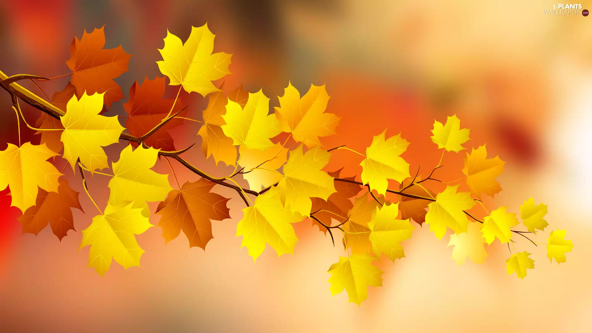 maple, 2D Graphics, Leaf