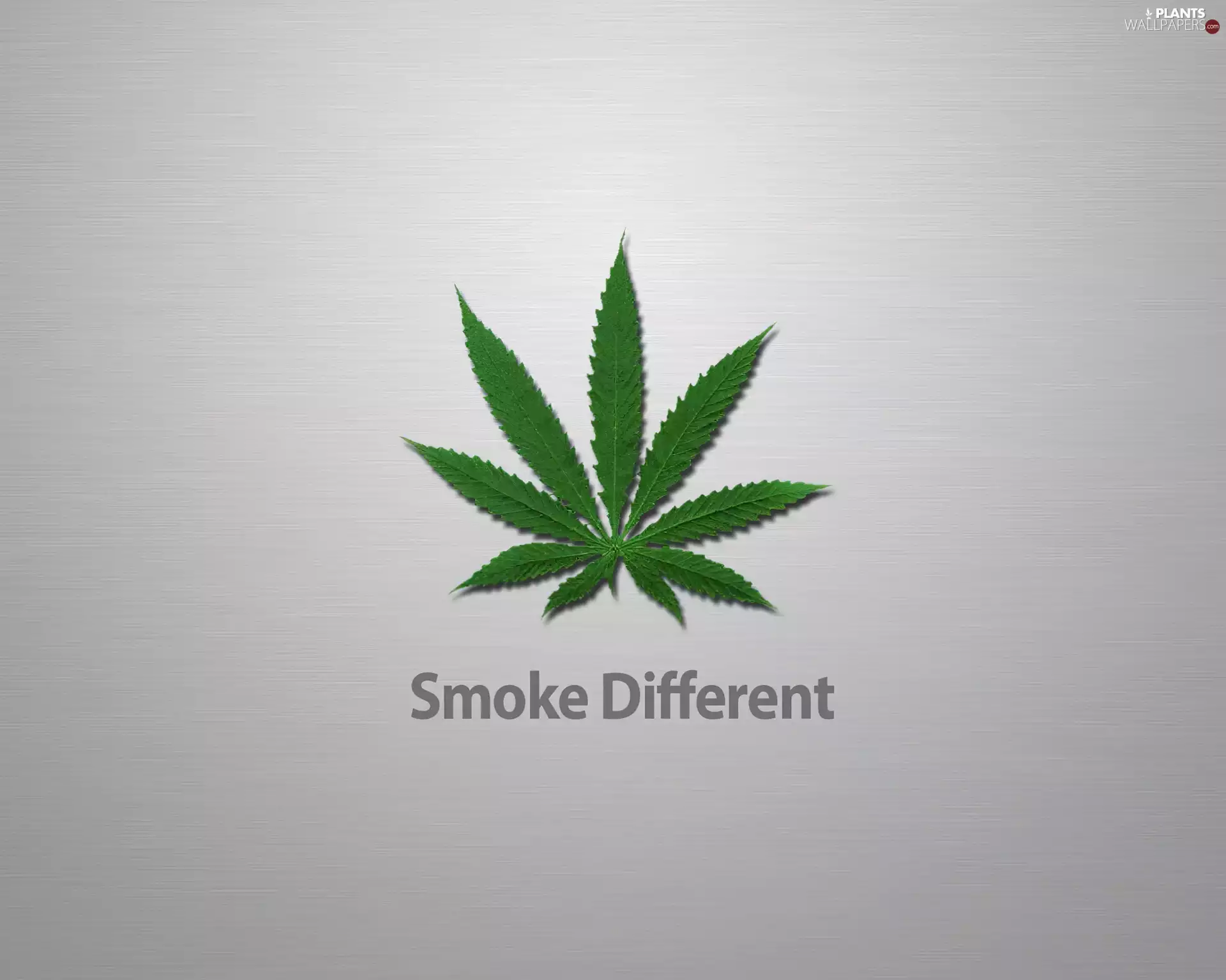 leaf, graphics, marijuana