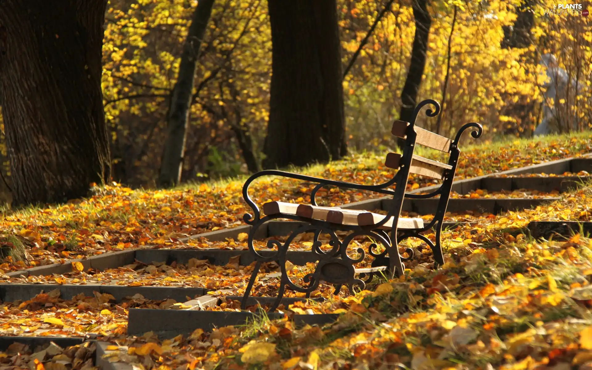 Park, autumn, Leaf, Bench