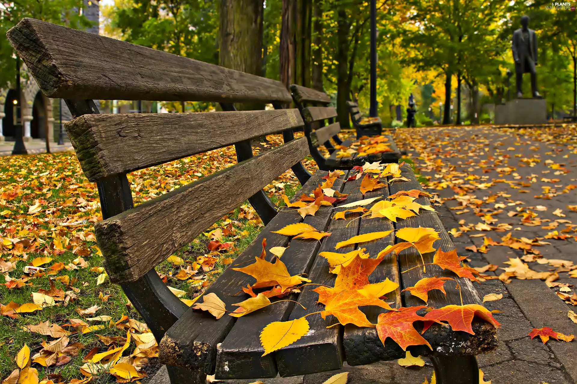 fallen, Leaf, Park, bench, autumn