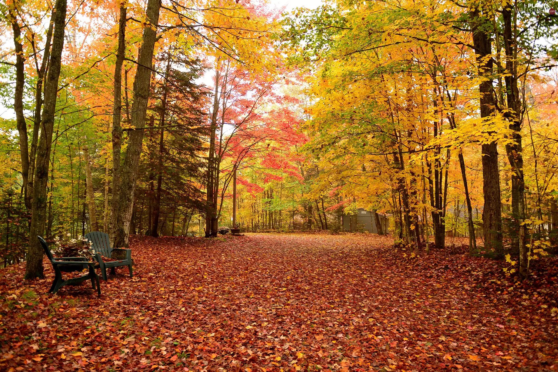 autumn, Way, Park, fallen, Stool, viewes, trees, Leaf