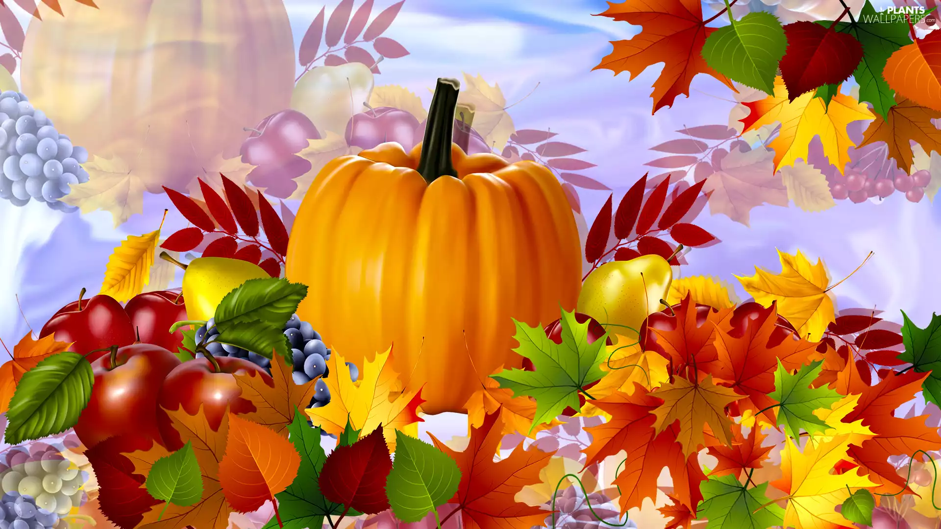 pumpkin, Fruits, graphics, Leaf