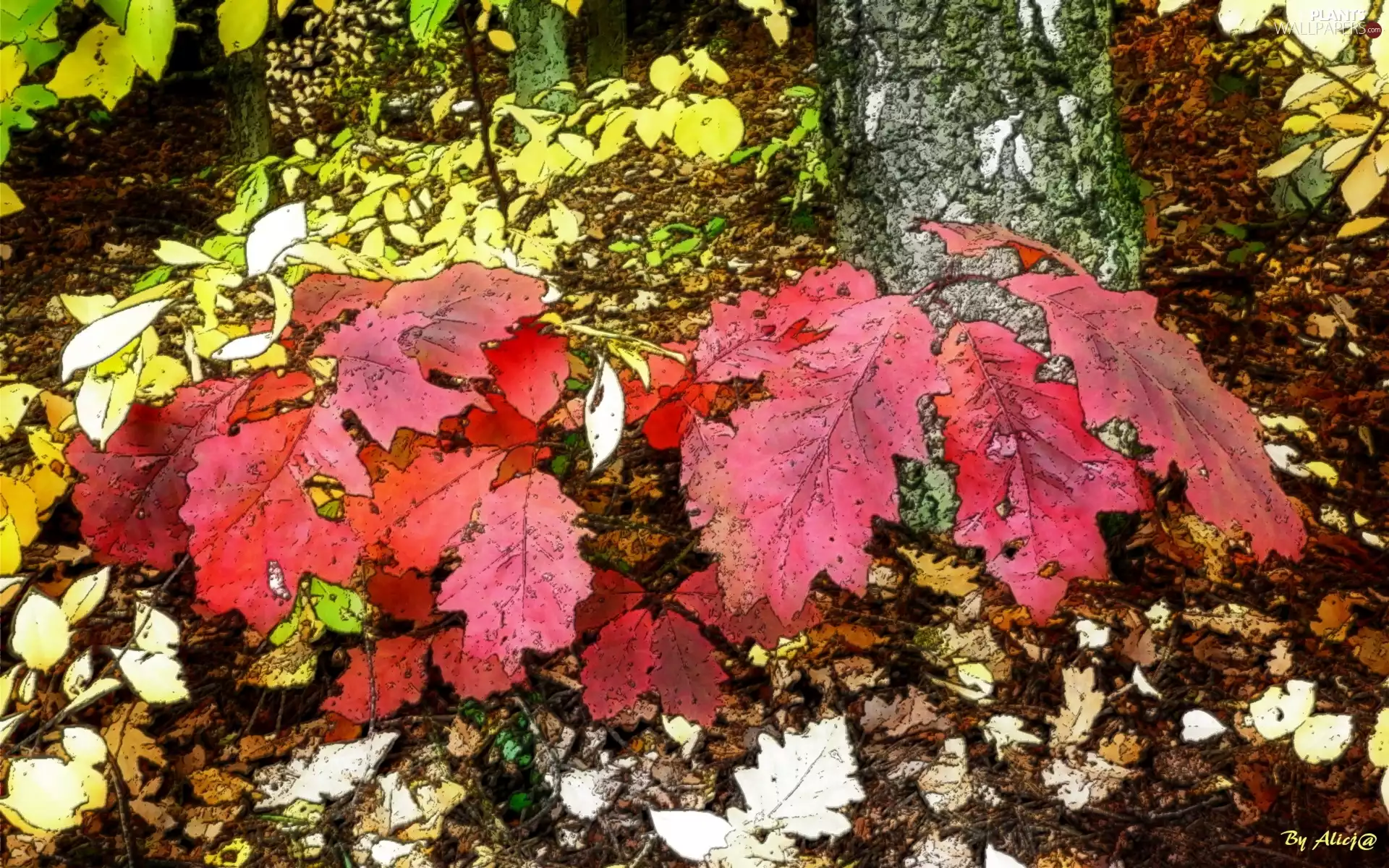 Red, oak, autumn, Leaf