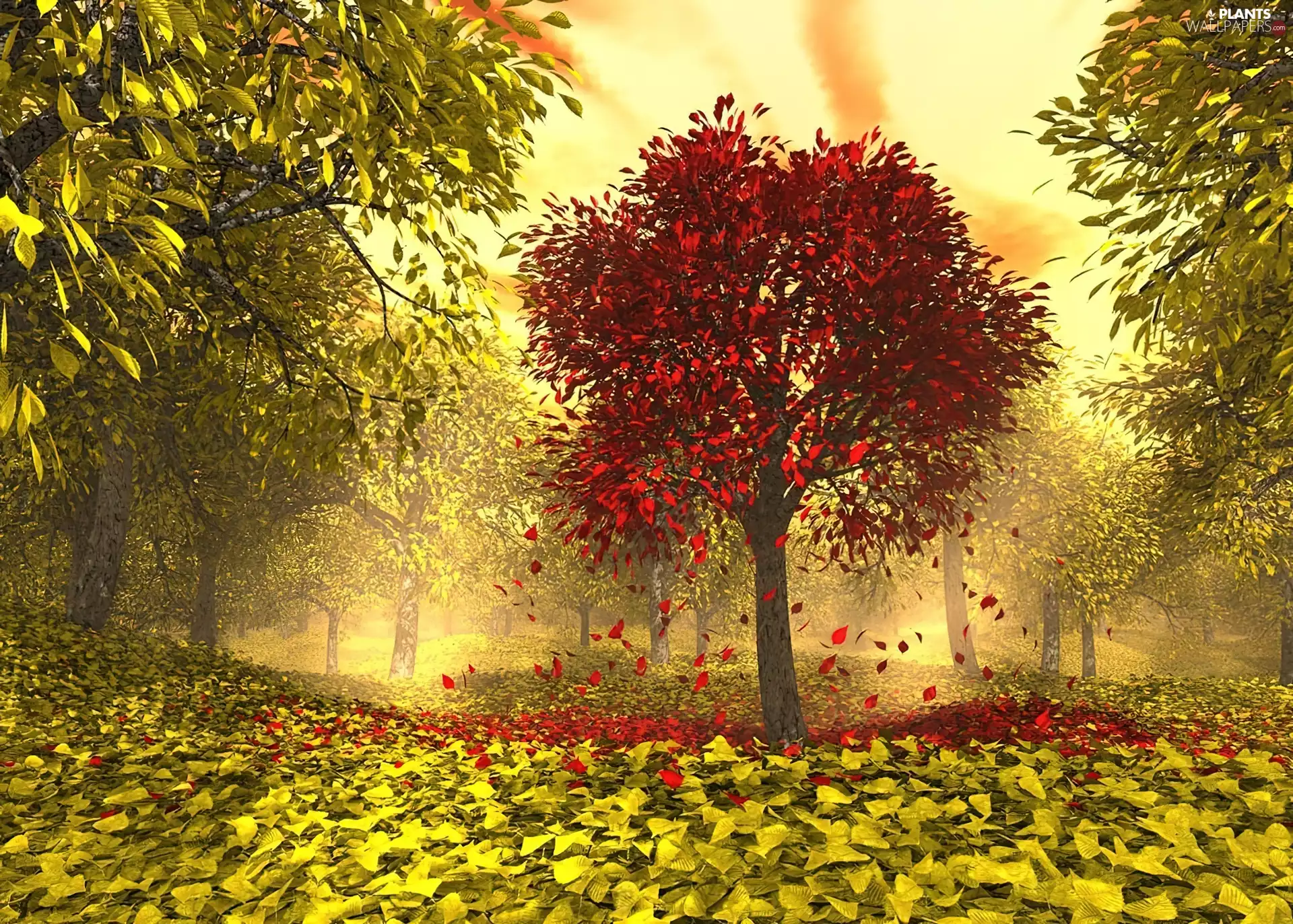 viewes, Leaf, Red, trees, Yellow