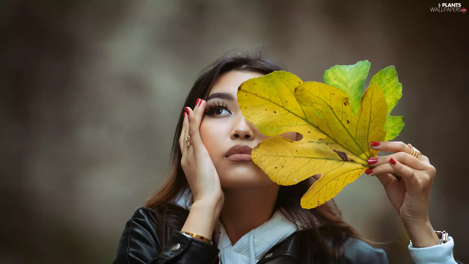 Leaf, girl, Yellowed