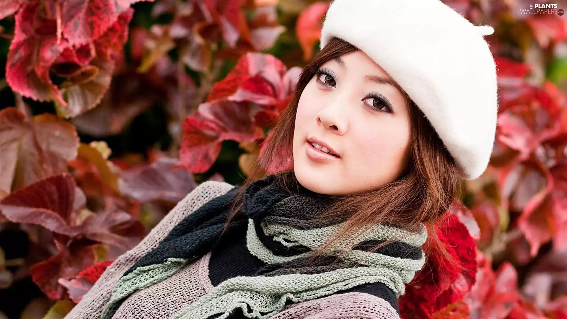 Kaijie, Mikako, autumn, Leaf, model, Zhang