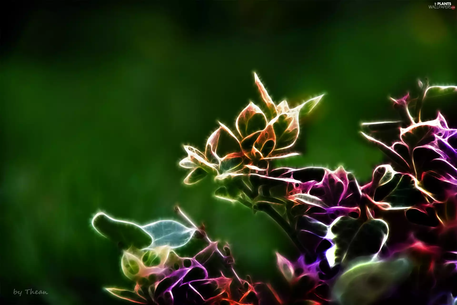 leaves, Colors Fractalius