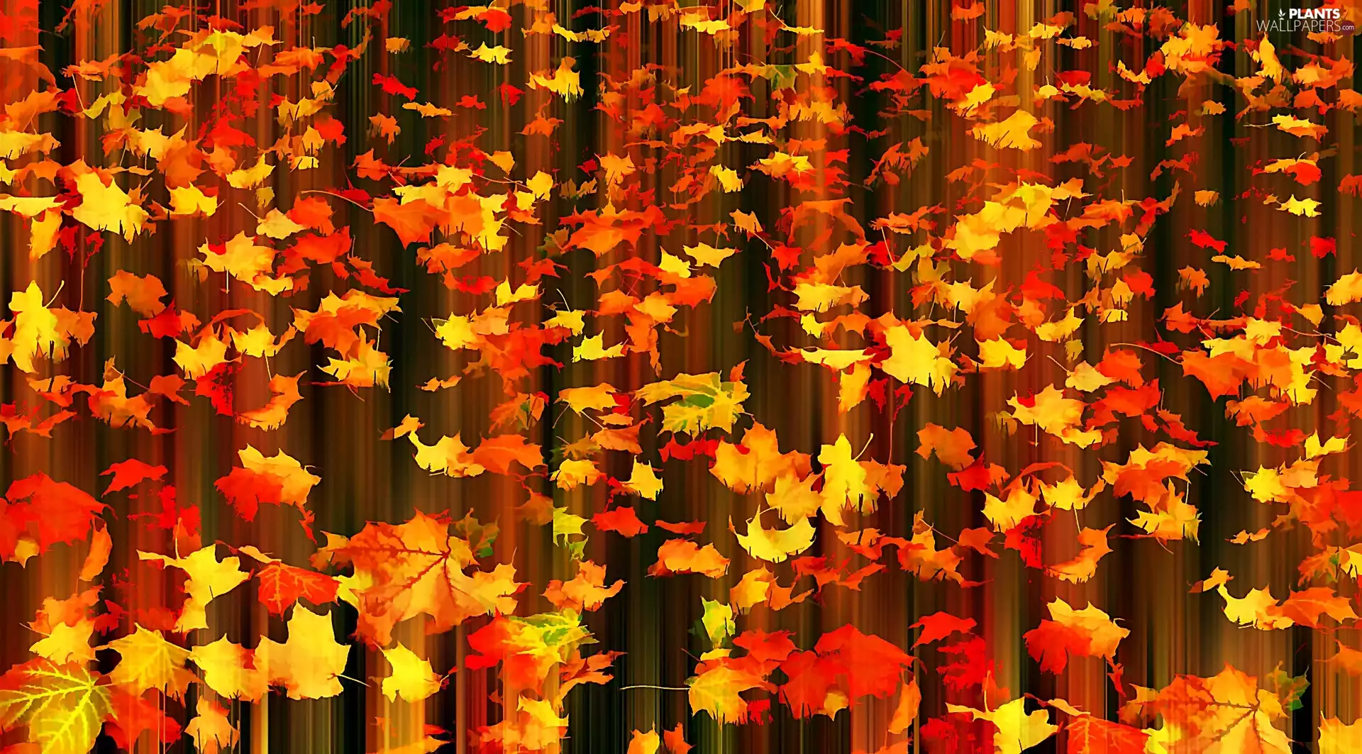texture, autumn, Falling leaves