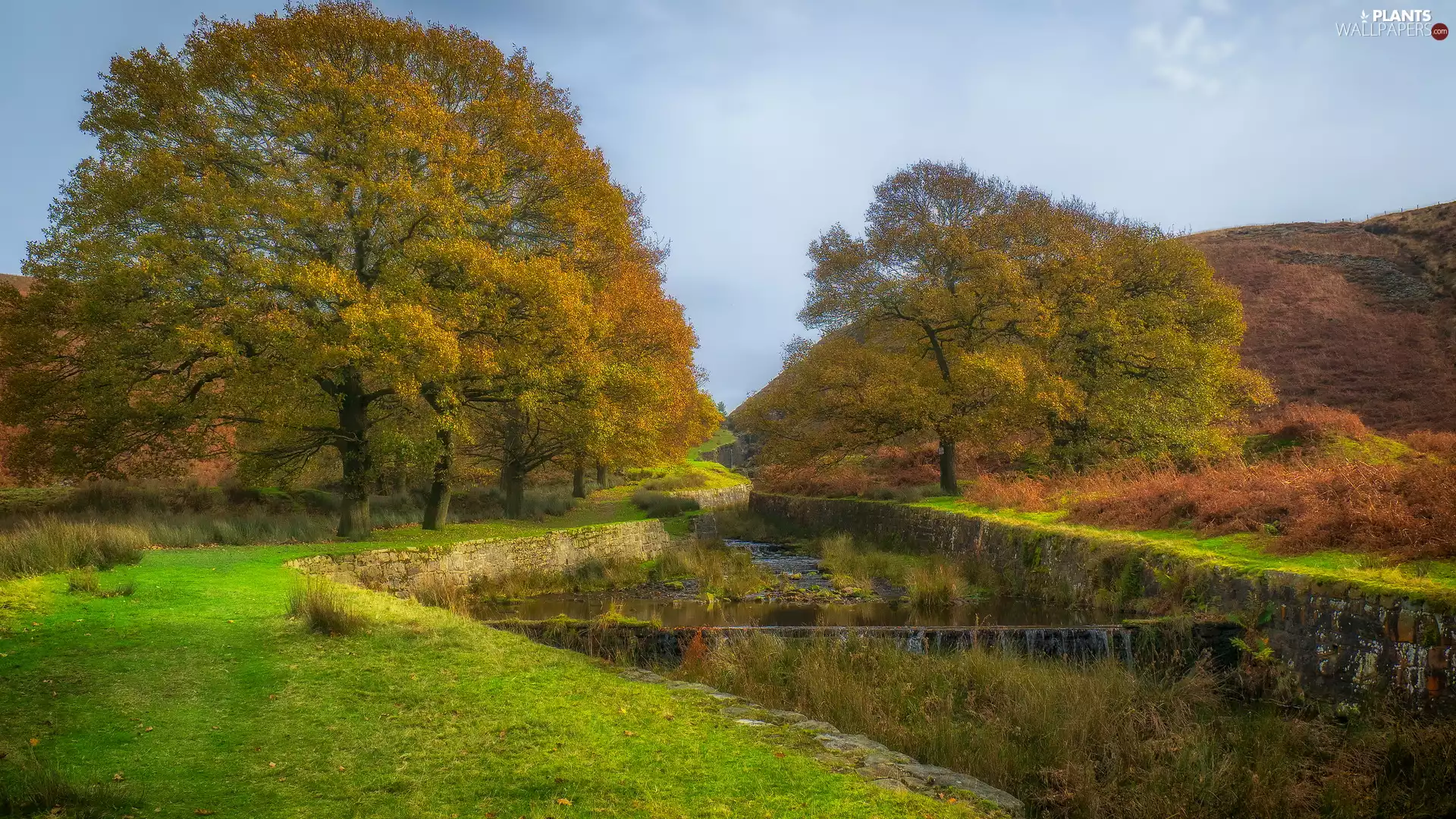 River, ledge, trees, viewes, autumn