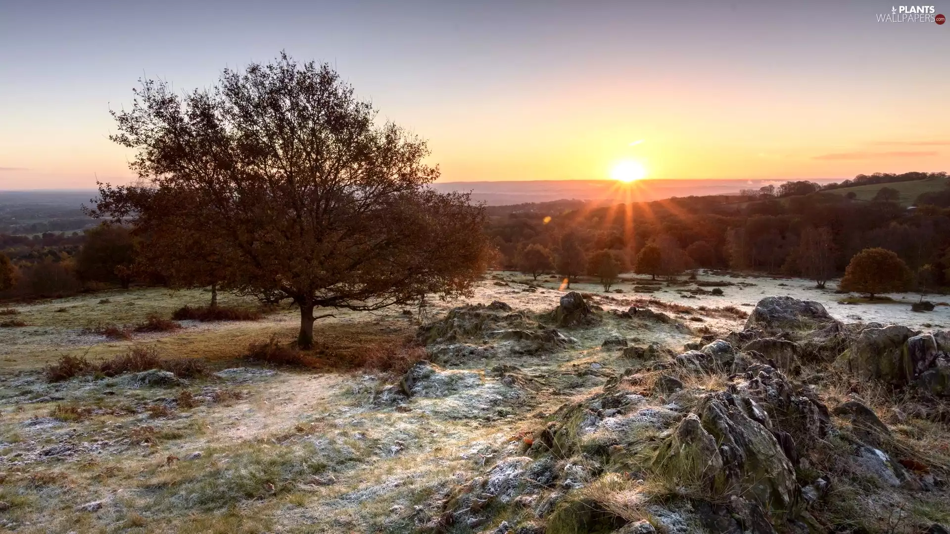rays of the Sun, trees, rocks, viewes, Stones, County Leicestershire, England, grass