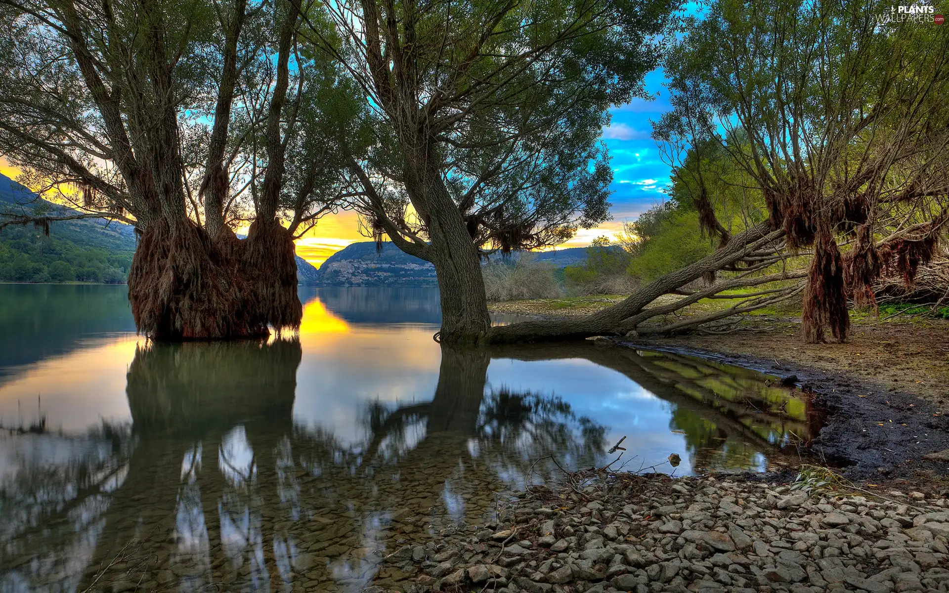 sun, ligh, flash, Fucino, lake, luminosity, viewes, Abruzzo, shadow, trees, Apennines, Mountains