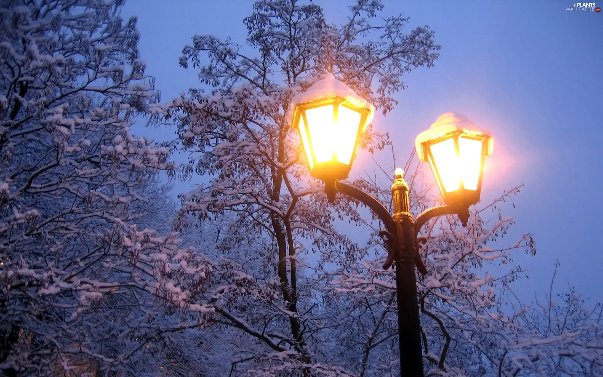 Lighthouse, winter, trees, viewes, Snowy