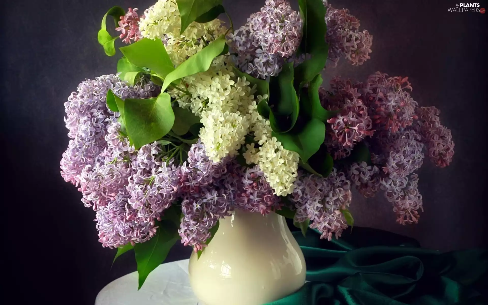 bouquet, bowl, table, lilac