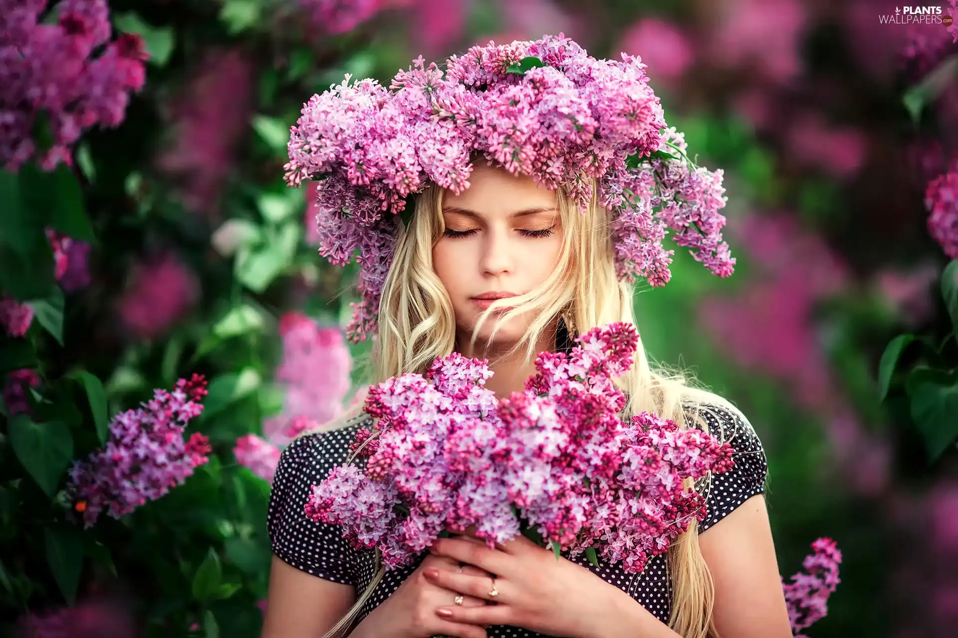 lilac, Women, Flowers