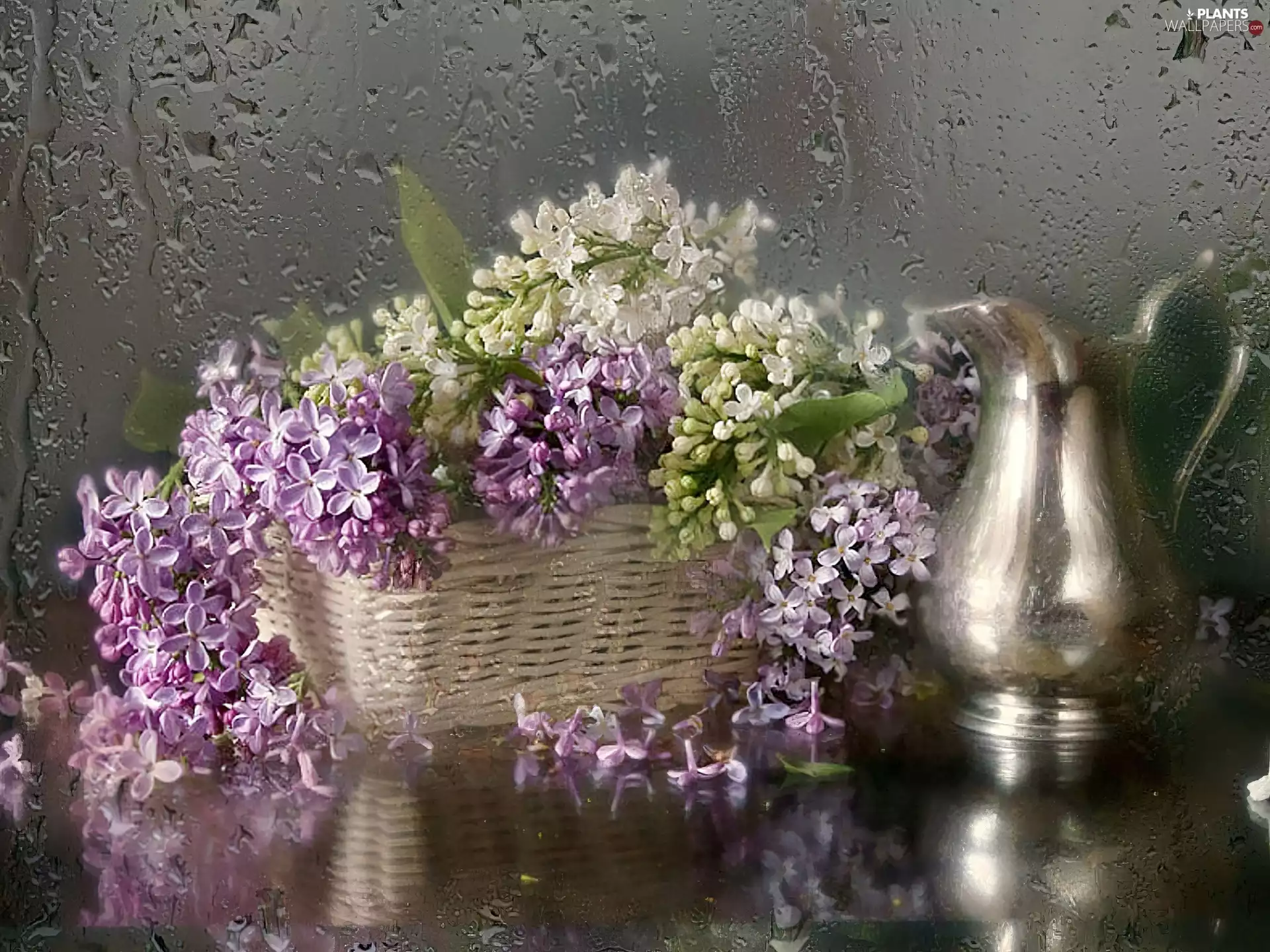 purple, basket, jug, Lilacs