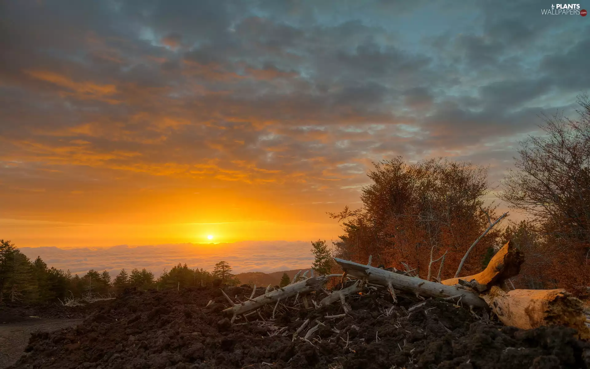 Linguaglossa, Great Sunsets, viewes, clouds, trees, Sicilia, Italy, Sky