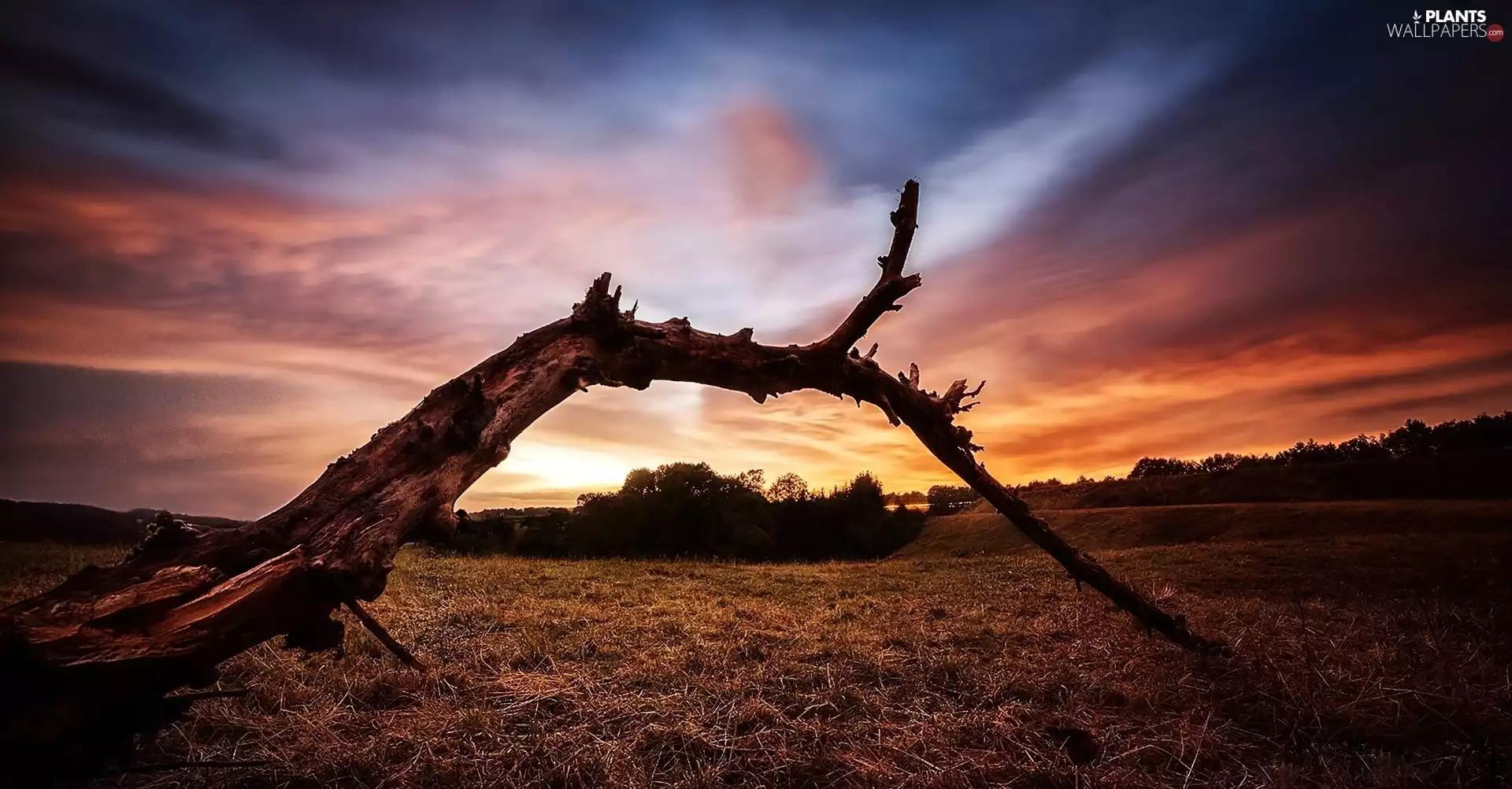 dry, west, sun, Lod on the beach