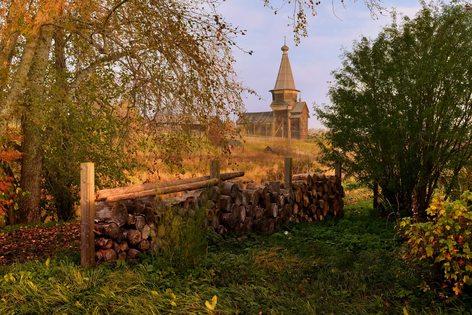 viewes, Cerkiew, cut, Logs, autumn, trees
