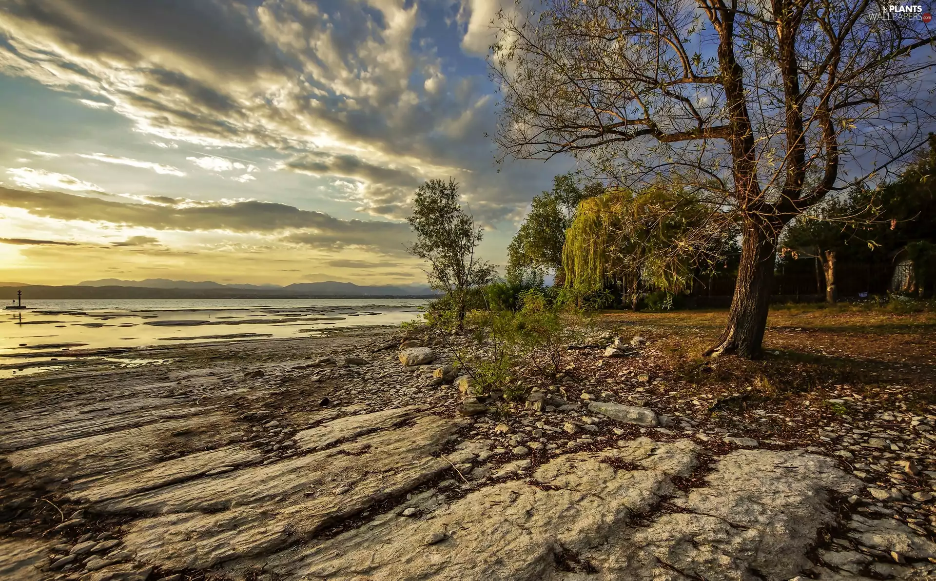 trees, Coast, Sirmione, Lombardy, viewes, Stones