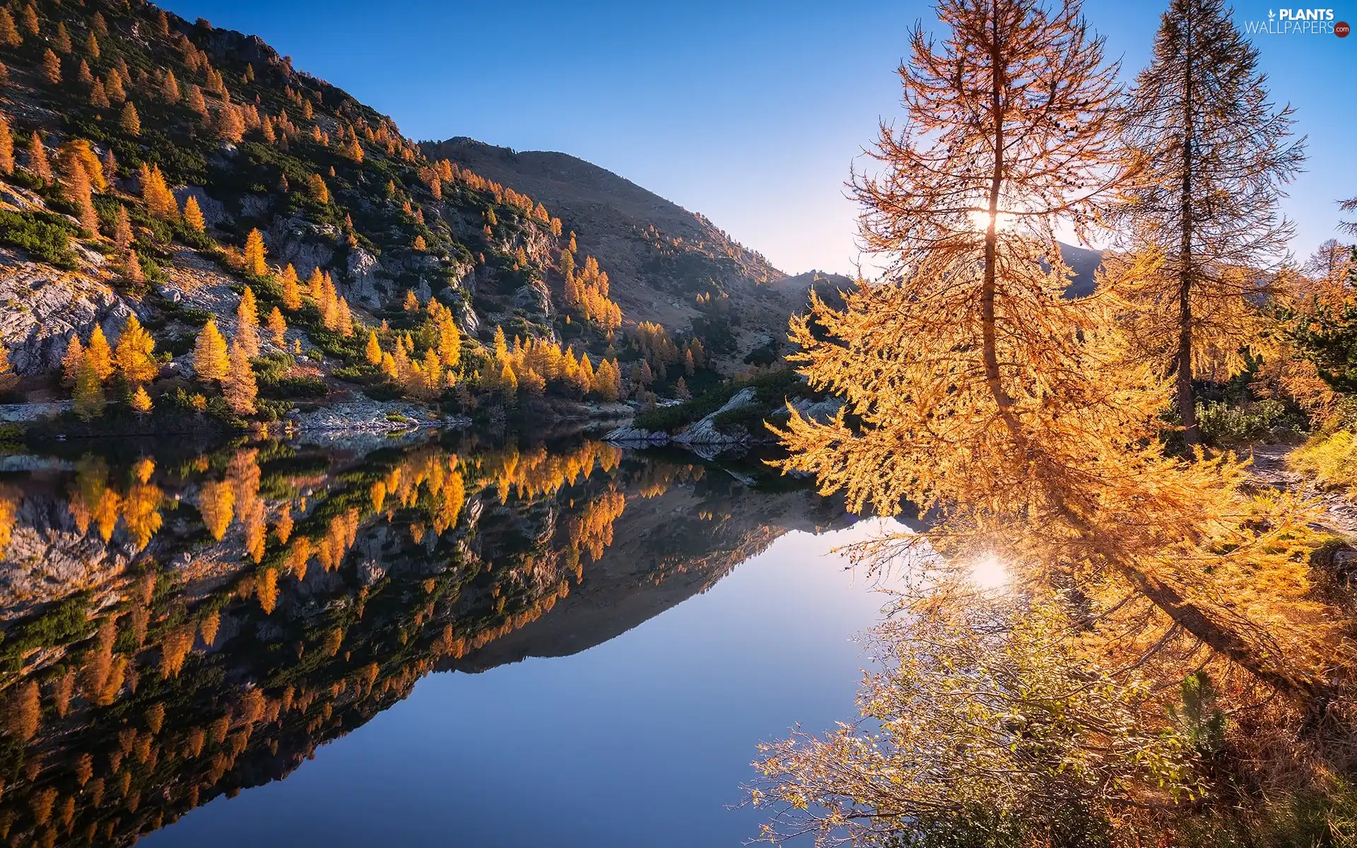 Lombardy, Italy, Mountains, lake, autumn, reflection, viewes, Larches, trees
