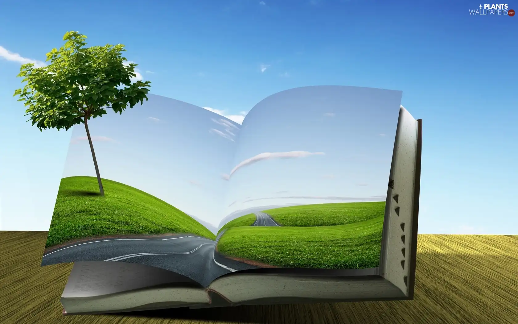 grass, Book, lonely, trees, Sky, Way