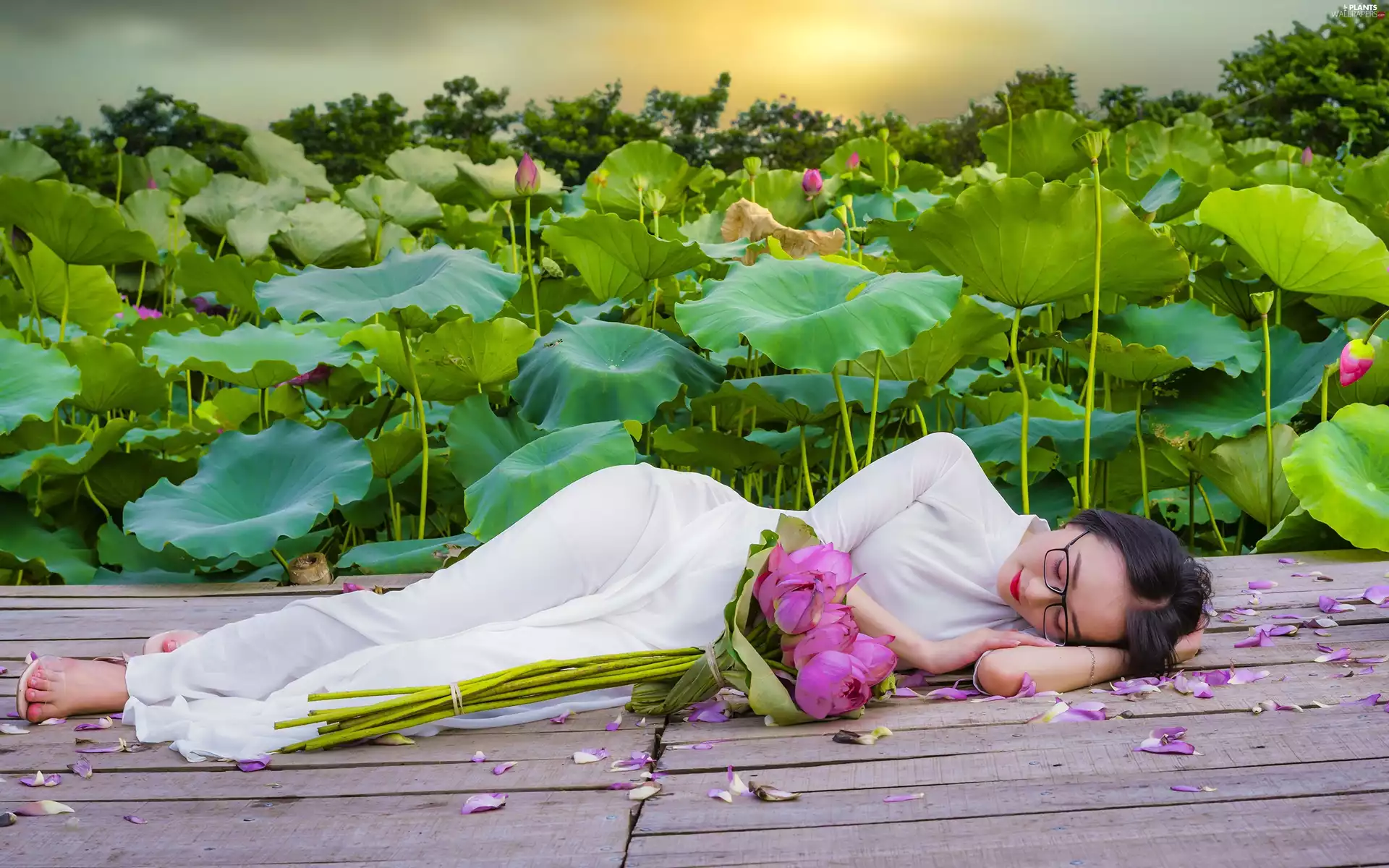 lotuses, Flowers, Leaf, girl, Glasses, podium, White, dress, Asian