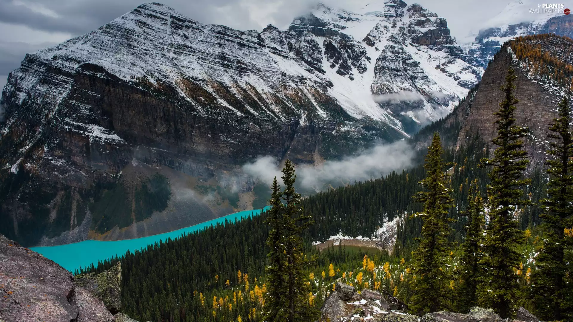 snow, Mountains, trees, Fog, rocks, Canada, Alberta, Lake Louise, lake, Banff National Park, viewes