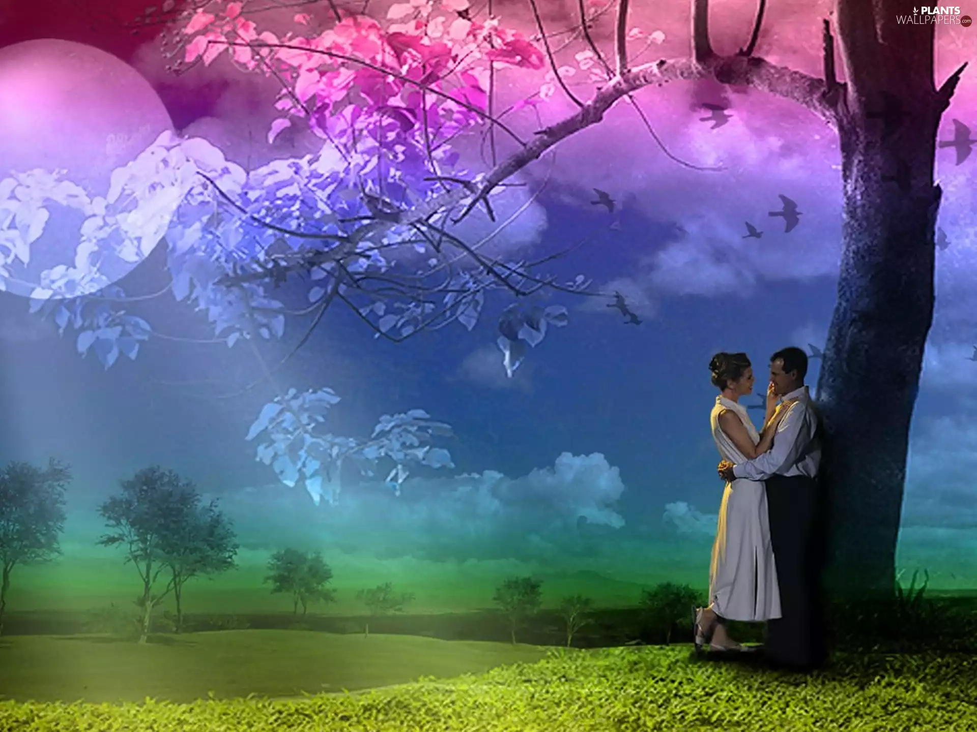 Meadow, Steam, trees, Love